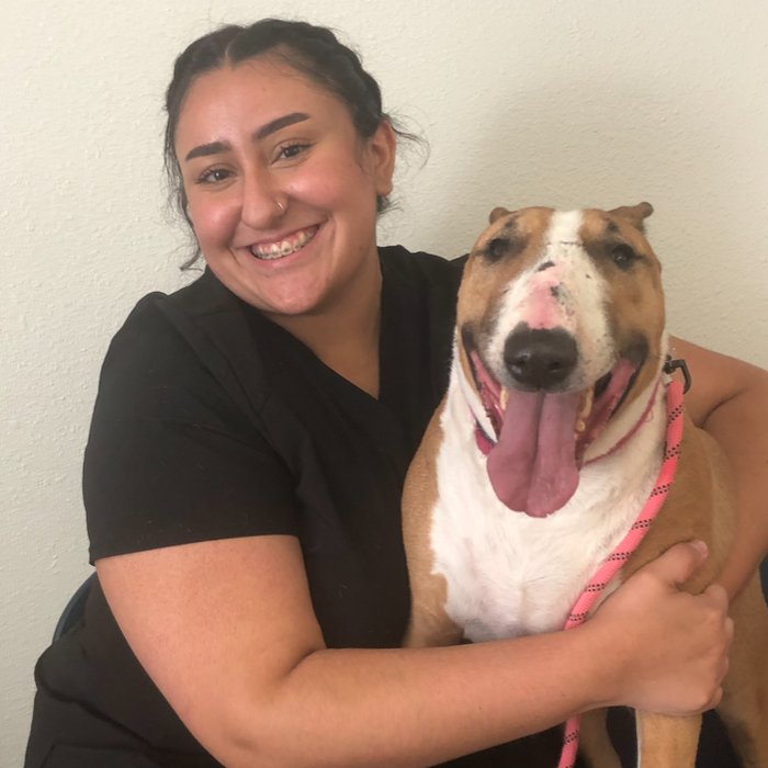 Emma Alavarez</br> Receptionist/Veterinary Assistant photo